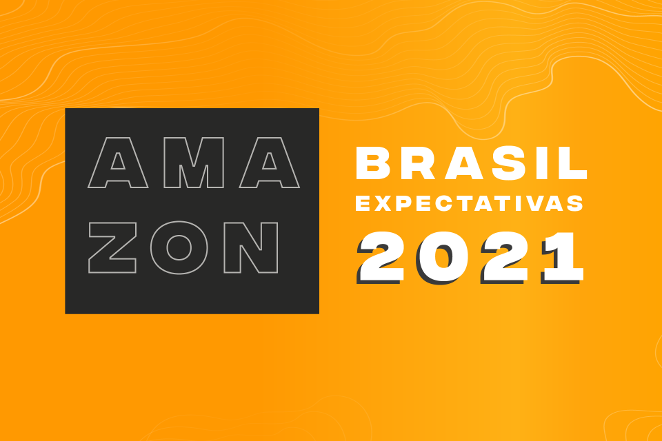 O QUE A AMAZON BRASIL PREPARA PARA 2021!
